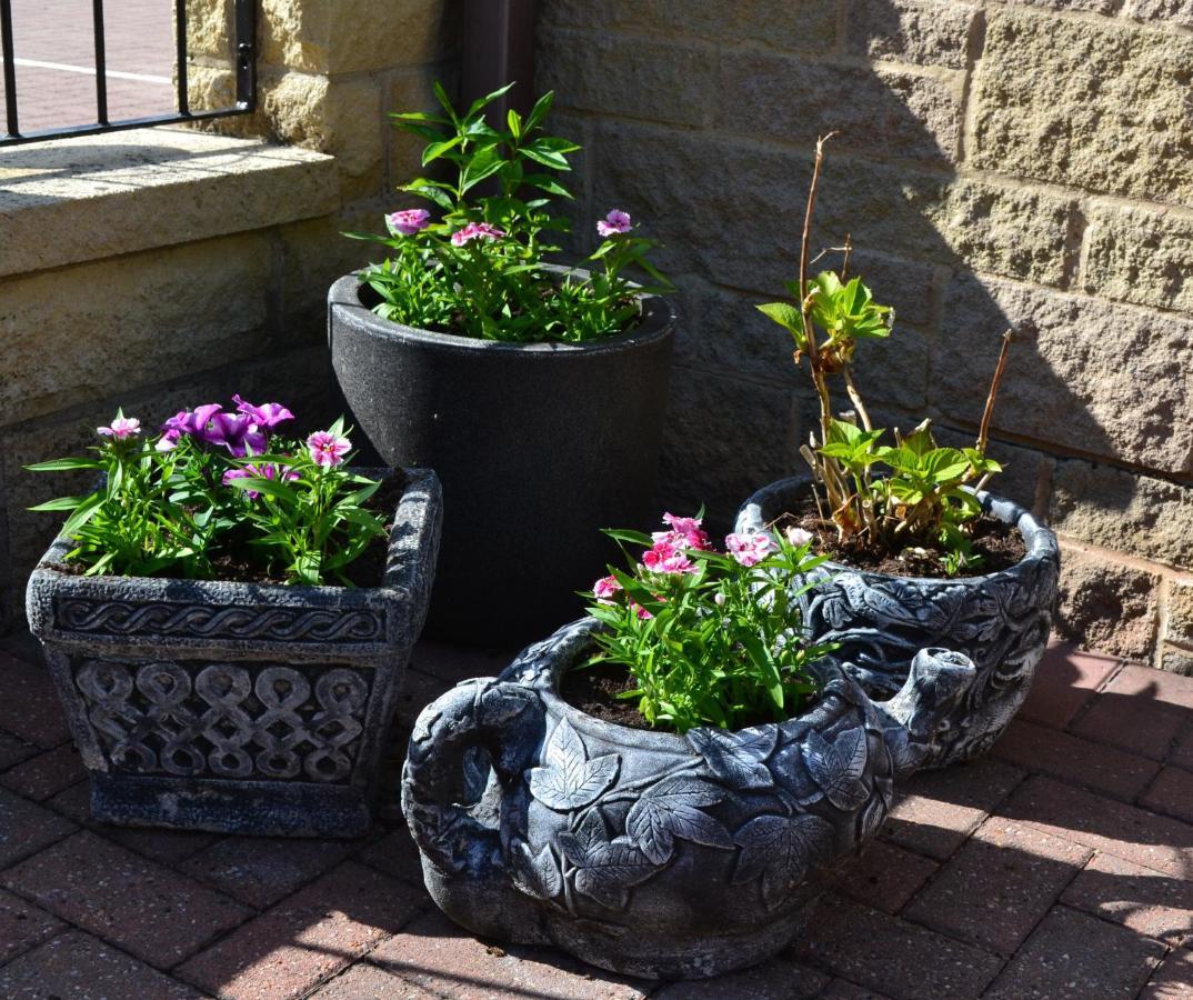 Castle Green Bed And Breakfast Ashbourne  Esterno foto